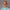 05-community-thumbnail