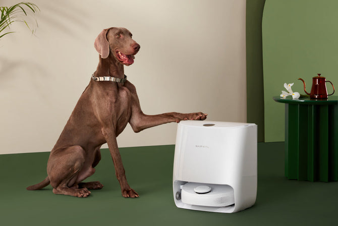 //ro.narwal.com/cdn/shop/narwal-milestones-2021?v=1744773489&width=670